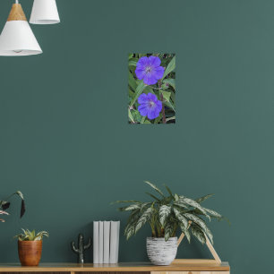 Póster Flores de Geranio Morado Floral