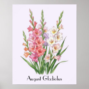Póster Flores de Gladiolo de Agosto