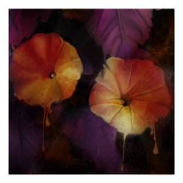 Póster Flores de gloria matutina