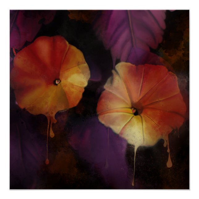 Póster Flores de gloria matutina (Anverso)