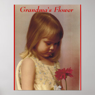 PÓSTER FLORES DE GRANDMA