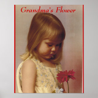 PÓSTER FLORES DE GRANDMA