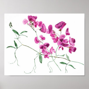 Póster flores de guisantes dulces magenta acuarela