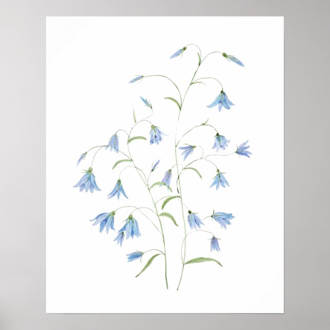 Póster flores de harebell azules 2021 acuarela (Frente)