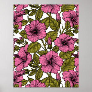 Póster Flores de hibiscos rosas