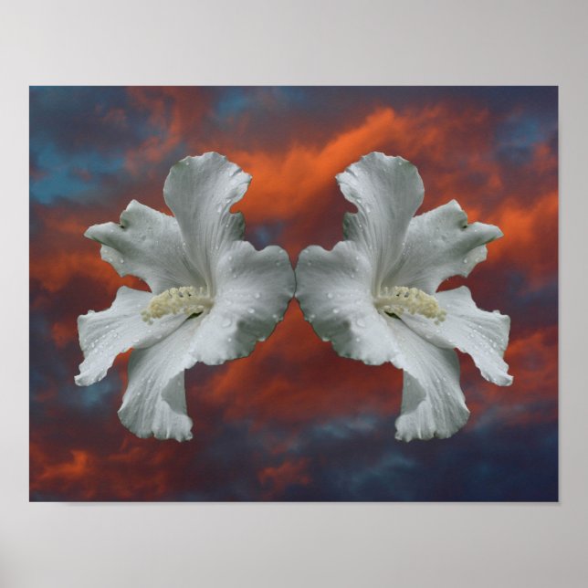 Póster Flores De Hibiscus Blancas En Un Cielo Dramático (Frente)