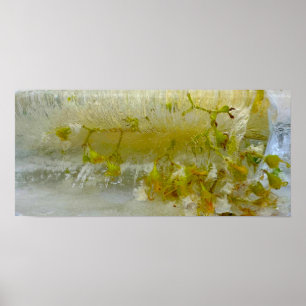 Póster Flores de hielo,