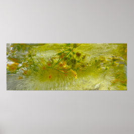 Póster Flores de hielo,