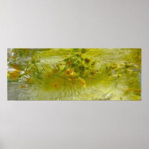 Póster Flores de hielo,