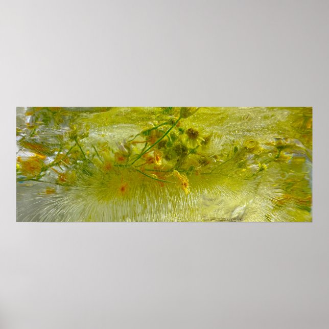 Póster Flores de hielo, (Frente)