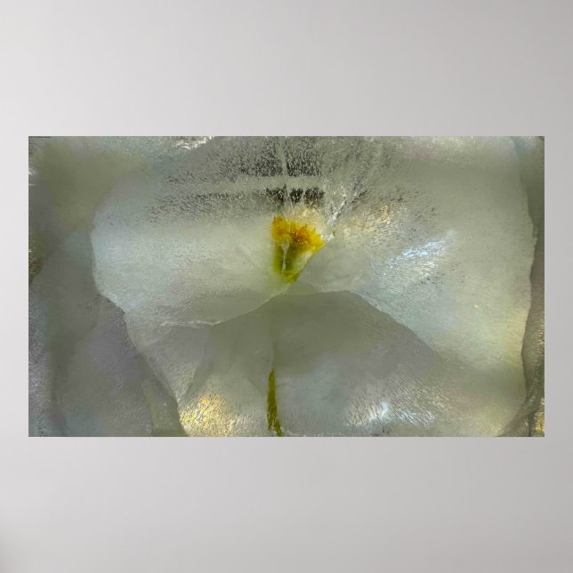 Póster Flores de hielo, (Frente)