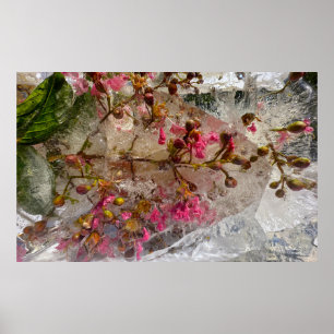 Póster Flores de hielo,