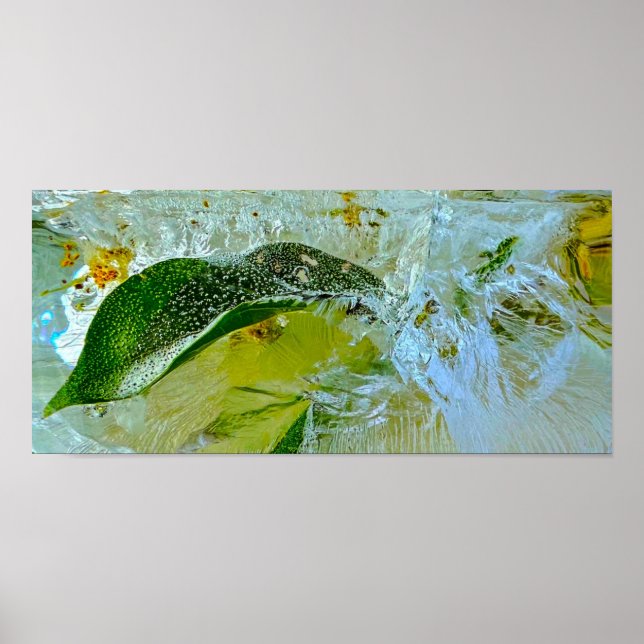 Póster Flores de hielo, (Frente)