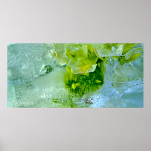 Póster Flores de hielo,