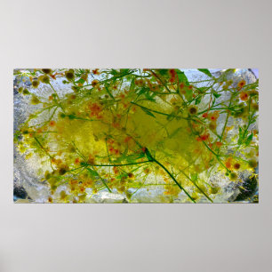 Póster Flores de hielo,