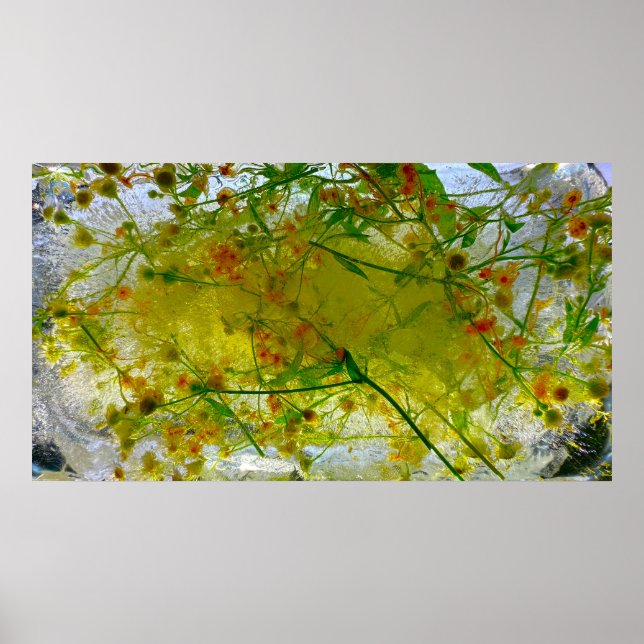 Póster Flores de hielo, (Frente)