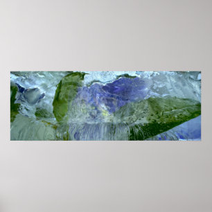 Póster Flores de hielo,