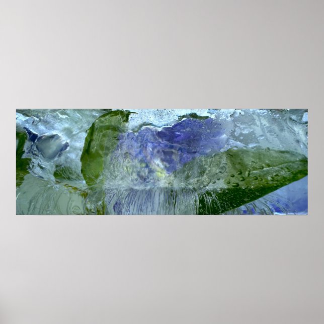 Póster Flores de hielo, (Frente)