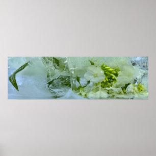 Póster Flores de hielo,