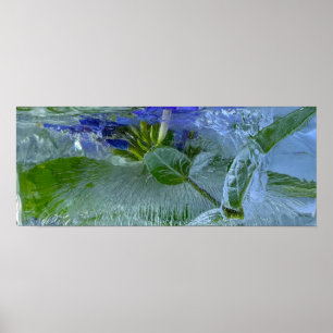 Póster Flores de hielo,