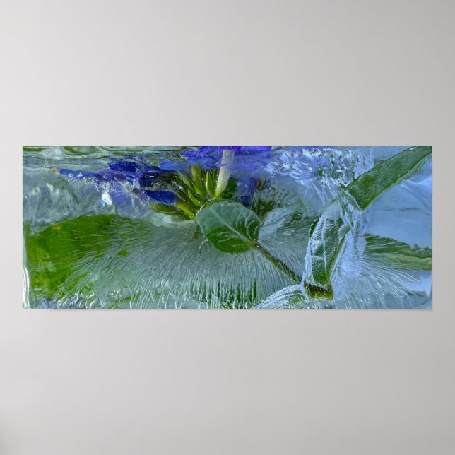 Póster Flores de hielo, (Frente)