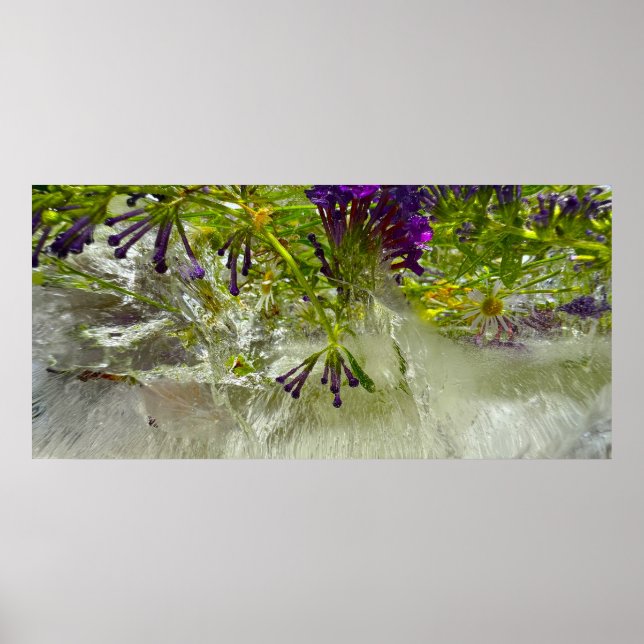 Póster Flores de hielo, (Frente)