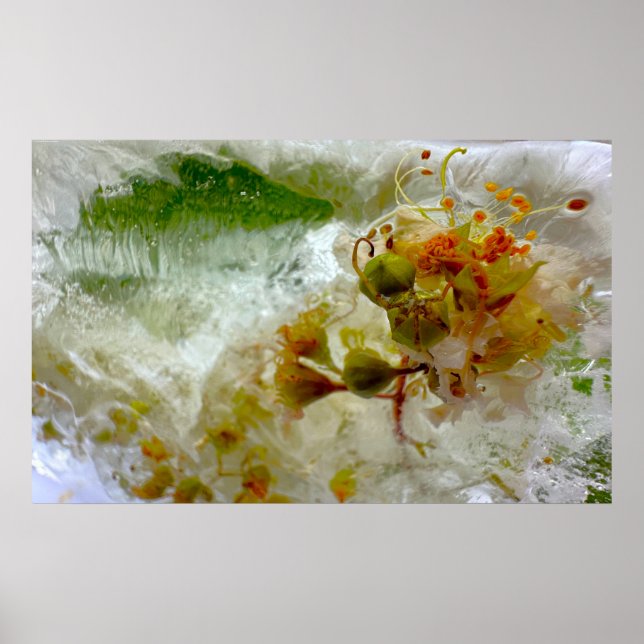 Póster Flores de hielo, (Frente)