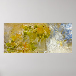 Póster Flores de hielo