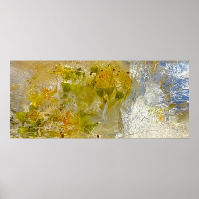 Póster Flores de hielo (Frente)