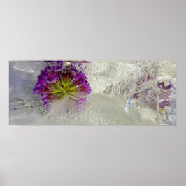 Póster Flores de hielo,