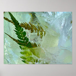 Póster Flores de hielo,