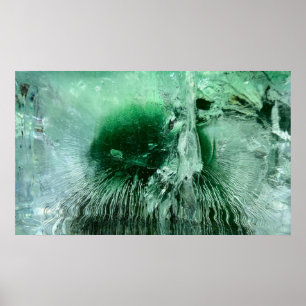 Póster Flores de hielo,
