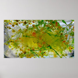 Póster Flores de hielo,