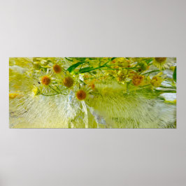 Póster Flores de hielo,