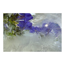 Flores de hielo,