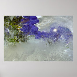 Póster Flores de hielo,