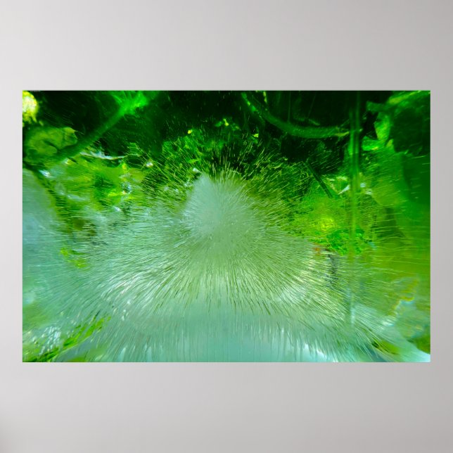 Póster Flores de hielo, Poster (Frente)