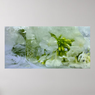 Póster Flores de hielo, Poster
