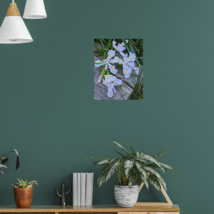 Póster Flores de Iris Morado Pálido