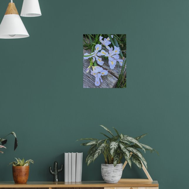 Póster Flores de Iris Morado Pálido (Salón 1)