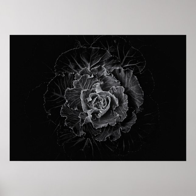 Póster Flores de jardín en blanco y negro nº 100 (Frente)
