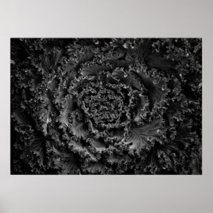 Póster Flores de jardín en blanco y negro nº 107