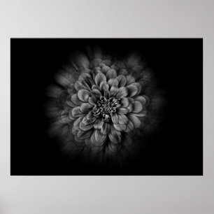 Póster Flores de jardín en blanco y negro núm. 54 Flow