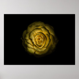 Póster Flores de Jardín Nº 85 Versión en Color