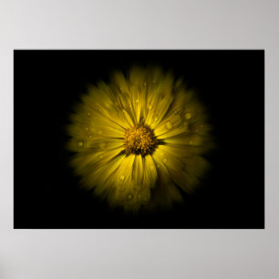 Póster Flores de jardín No 10 Versión Color Flow