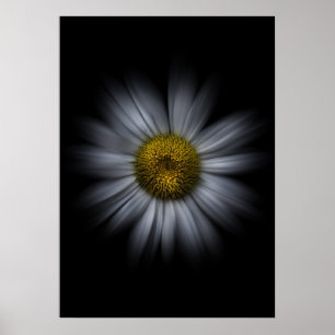 Póster Flores de jardín No 13 Versión Color Flow