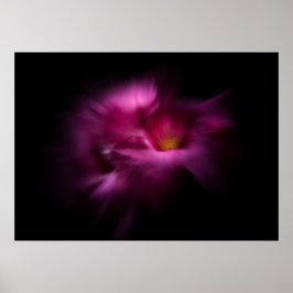 Póster Flores de jardín trasero No 2 Versión Color Flow