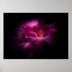 Póster Flores de jardín trasero No 2 Versión Color Flow