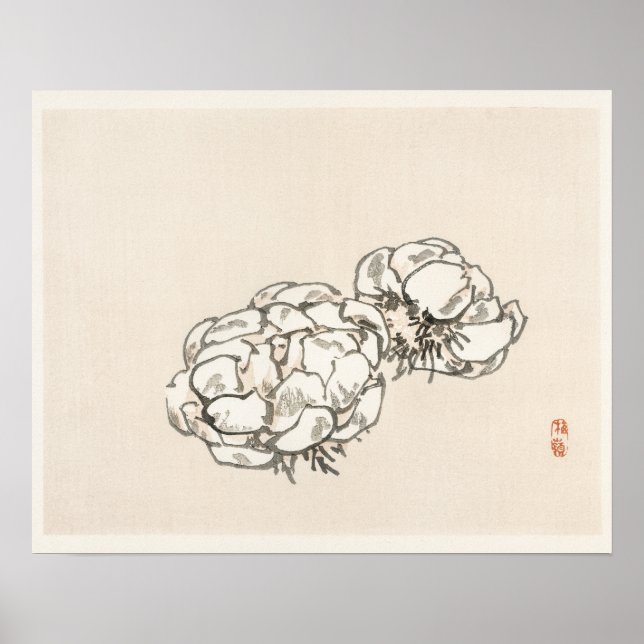 Póster Flores de Kōno Bairei (1844-1895) (Frente)