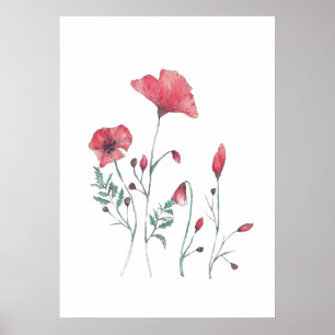 Póster Flores de la amapola de Acuarela